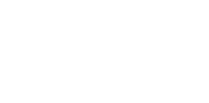 Microsoft Gold Partner Data & AI